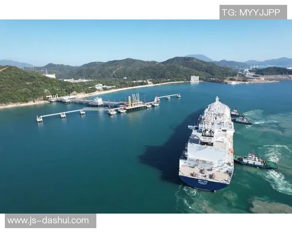 LNG精英赛特别报道揭示突破历程与未来发展潜力实时新闻